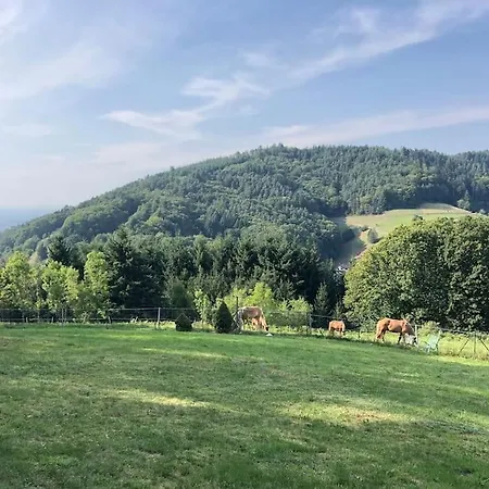 Panorama Im Schwarzwald In Einzigartiger Lage, Terrasse, 2 Schlafzimmer, Direkt Am Waldrand, Nahe Baden-baden *