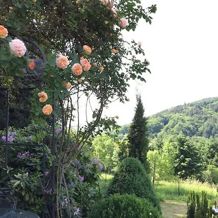 Διαμέρισμα Ausgestattete In Traumlage Mit Grandioser Aussicht Bühlertal