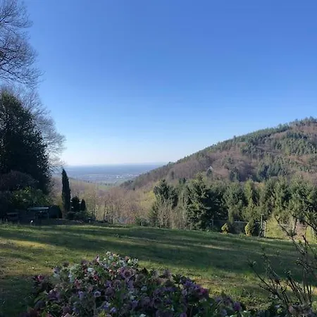 Apartment Panorama Im Schwarzwald In Einzigartiger Lage, Terrasse, 2 Schlafzimmer, Direkt Am Waldrand, Nahe Baden-baden *