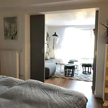 Panorama Im Schwarzwald In Einzigartiger Lage, Terrasse, 2 Schlafzimmer, Direkt Am Waldrand, Nahe Baden-baden Buhlertal