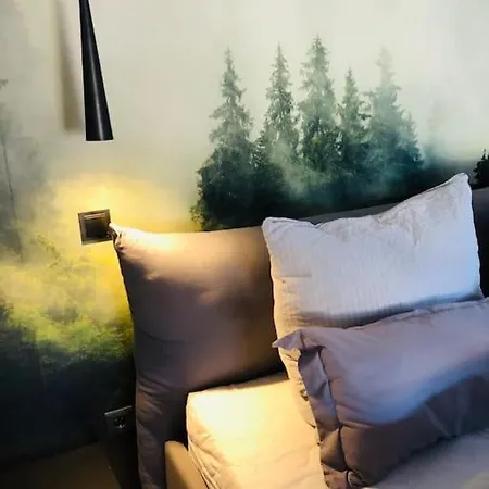 Panorama Im Schwarzwald In Einzigartiger Lage, Terrasse, 2 Schlafzimmer, Direkt Am Waldrand, Nahe Baden-baden *
