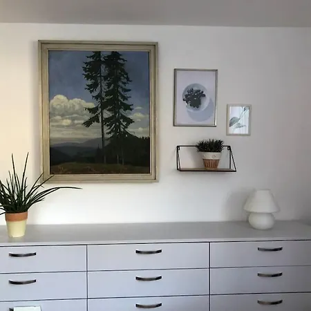 Panorama Im Schwarzwald In Einzigartiger Lage, Terrasse, 2 Schlafzimmer, Direkt Am Waldrand, Nahe Baden-baden Apartment