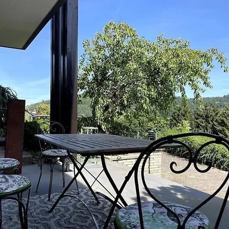 Panorama Im Schwarzwald In Einzigartiger Lage, Terrasse, 2 Schlafzimmer, Direkt Am Waldrand, Nahe Baden-baden Apartment Buhlertal