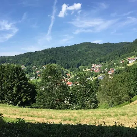 Panorama Im Schwarzwald In Einzigartiger Lage, Terrasse, 2 Schlafzimmer, Direkt Am Waldrand, Nahe Baden-baden Buhlertal