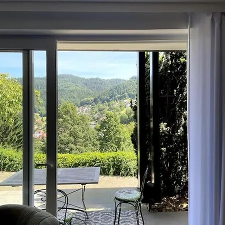 Panorama Im Schwarzwald In Einzigartiger Lage, Terrasse, 2 Schlafzimmer, Direkt Am Waldrand, Nahe Baden-baden Apartment Buhlertal